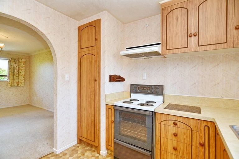 Photo of property in 124 Joy Street, Shirley, Christchurch, 8061