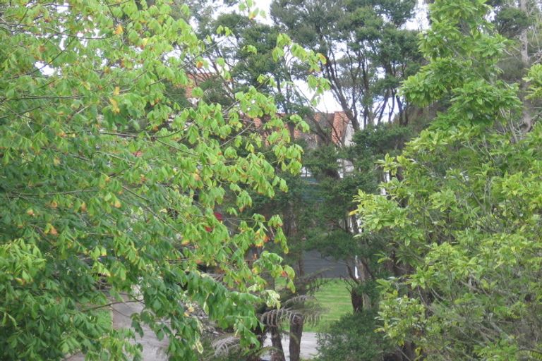 Photo of property in 60 Atkinson Road, Titirangi, Auckland, 0604