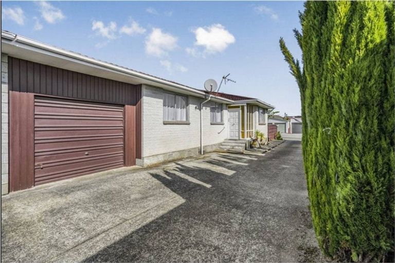 Photo of property in 113 Knights Road, Hutt Central, Lower Hutt, 5010