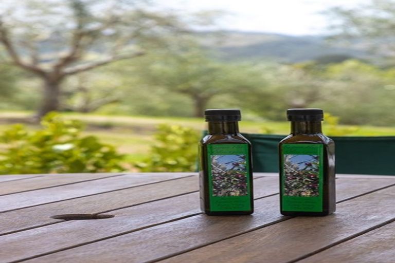 Photo of property in 1071 Tauhoa Road, Kaipara Flats, Warkworth, 0984