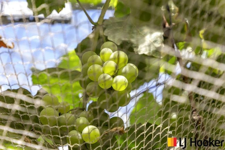 Photo of property in 12 Carnoustie Drive, Wattle Downs, Auckland, 2103