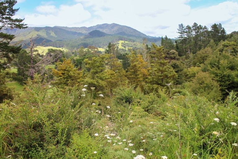 Photo of property in 65 Peria Valley Road, Kaitaia, 0481
