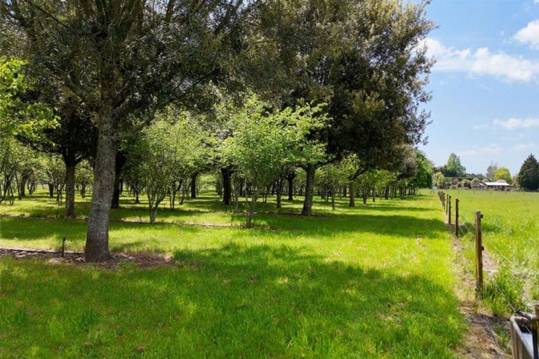 Photo of property in 1156 Braemar Road, Rotoma, Whakatane, 3192