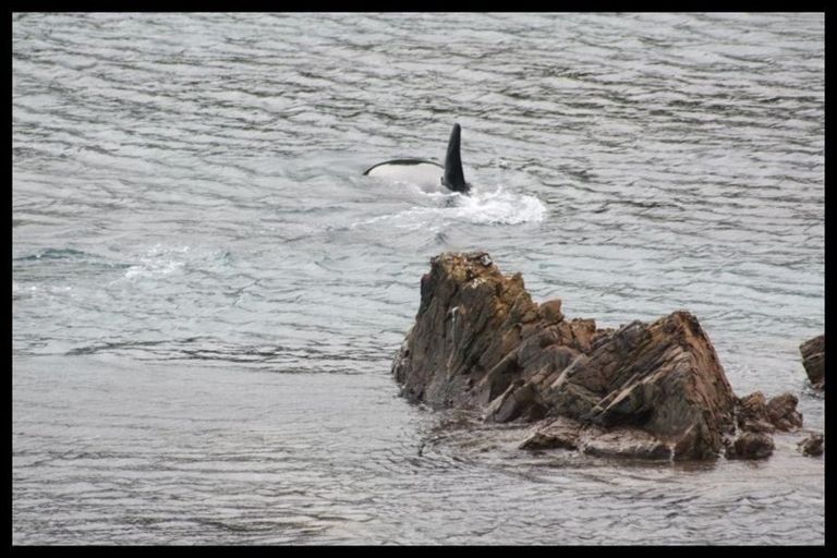 Photo of property in 12 Owhiro Bay Parade, Owhiro Bay, Wellington, 6023