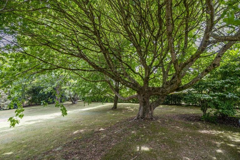 Photo of property in 582 Kerikeri Road, Kerikeri, 0293