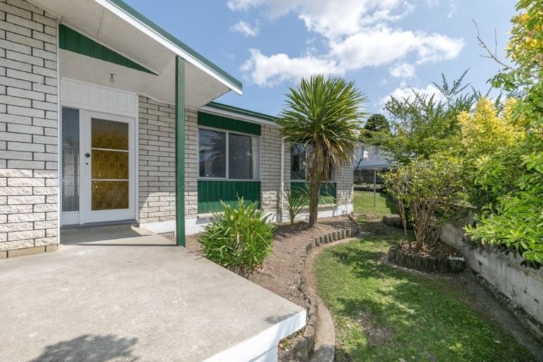 Photo of property in 19 Caernarvon Street, Dinsdale, Hamilton, 3204