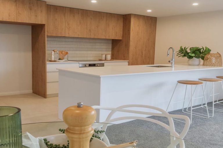 Photo of property in 17a Brightwater Terrace, Terrace End, Palmerston North, 4410