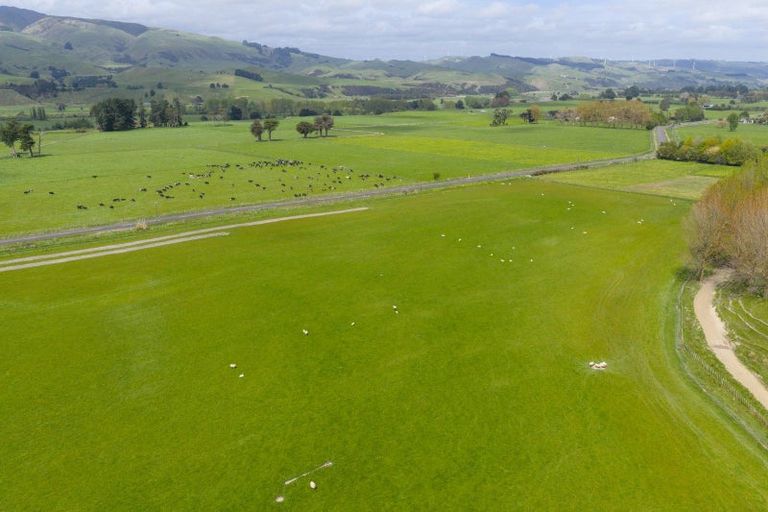 Photo of property in 643c Pohangina Road, Ashhurst, 4884