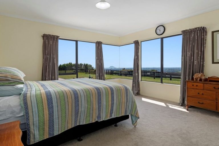 Photo of property in 198 Whakamarama Road, Whakamarama, Tauranga, 3179