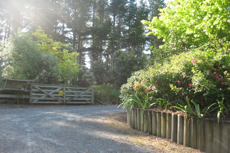 Photo of property in 392 Whakamarama Road, Whakamarama, Tauranga, 3179