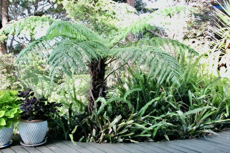 Photo of property in 1188 Paponga Road, Kohukohu, 0491