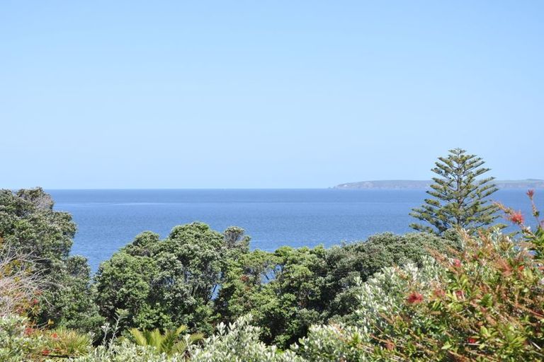 Photo of property in 10 Penguin Street, Leigh, 0985