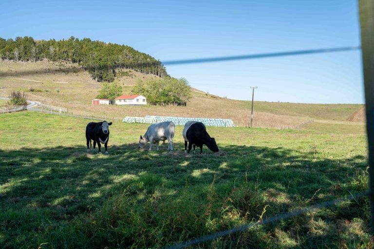 Photo of property in 274 Pigs Head Road, Whakapara, Hikurangi, 0184