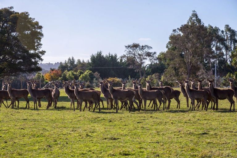 Photo of property in 707 Norfolk Road, Upper Plain, Carterton, 5791