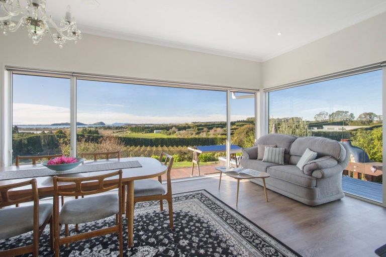 Photo of property in 252 Tuapiro Road, Tahawai, Katikati, 3170