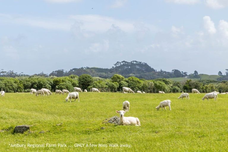 Photo of property in 17 Ashcroft Avenue, Mangere Bridge, Auckland, 2022