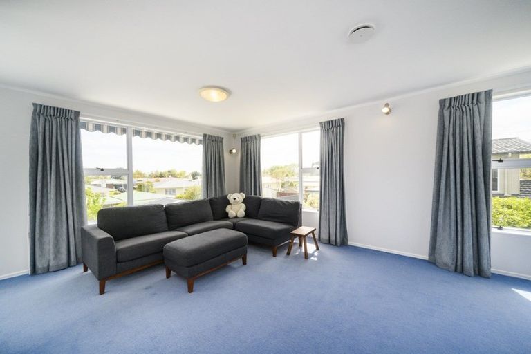 Photo of property in 107 Dittmer Drive, West End, Palmerston North, 4412