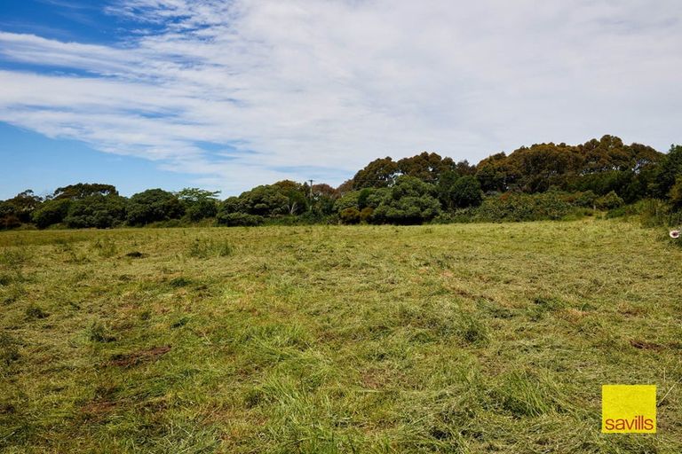 Photo of property in 596 Conway Flat Road, Conway Flat, Cheviot, 7384