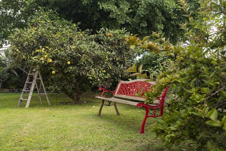 Photo of property in 11 Travis Street, Taradale, Napier, 4112