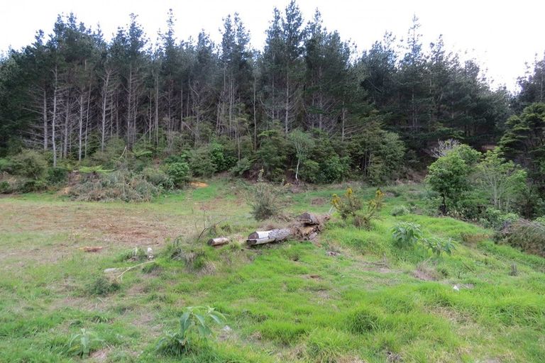 Photo of property in 154 Wood Road, Colville, Coromandel, 3584