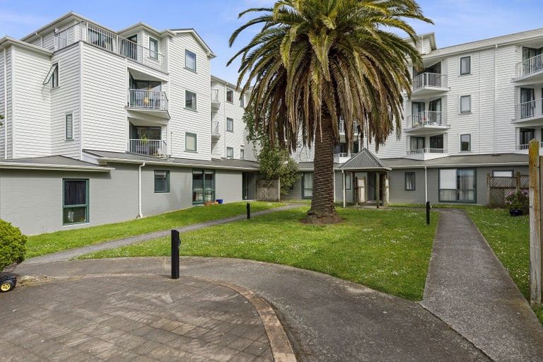 Photo of property in Palm Grove Apartments, 11/13d Palm Grove, Berhampore, Wellington, 6023