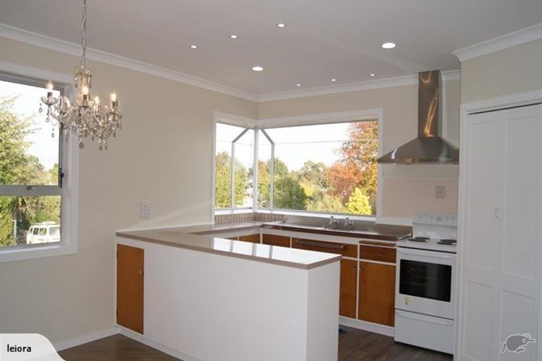 Photo of property in 40 Alison Street, Hamilton Lake, Hamilton, 3204