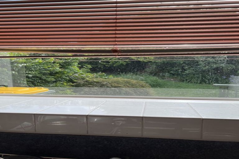 Photo of property in 105 Totara Drive, Pukete, Hamilton, 3200