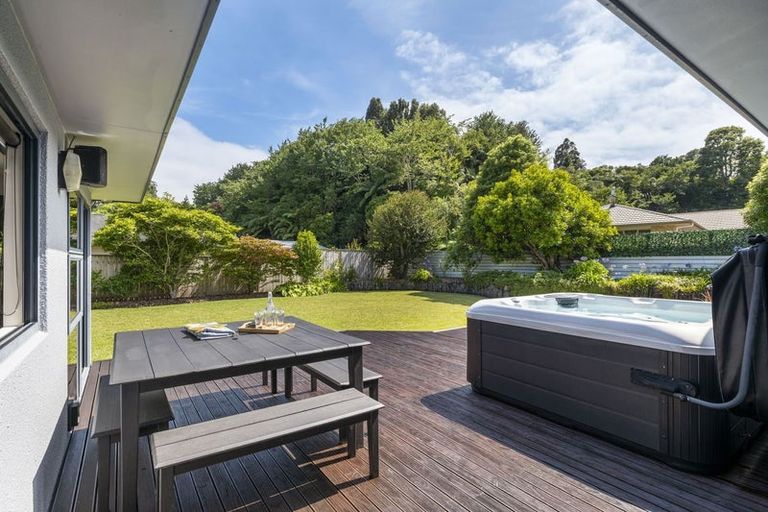 Photo of property in 43 Roto Street, Hurdon, New Plymouth, 4310