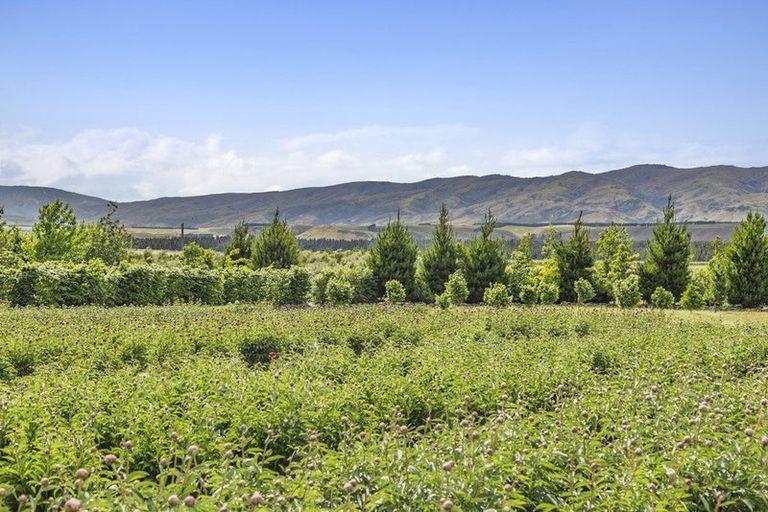 Photo of property in 42d Gladsmuir Road, Queensberry, Cromwell, 9383