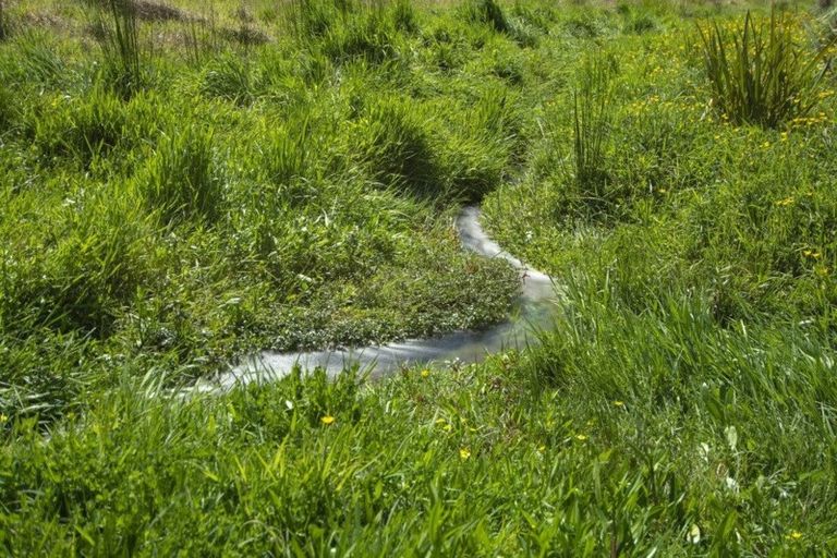 Photo of property in 178 Hereford Road, Oropi, Tauranga, 3173