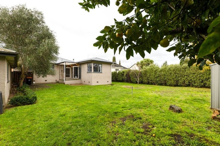 Photo of property in 16 Ihle Street, Terrace End, Palmerston North, 4410