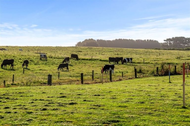 Photo of property in 22c Larlin Drive, Hawera, 4675