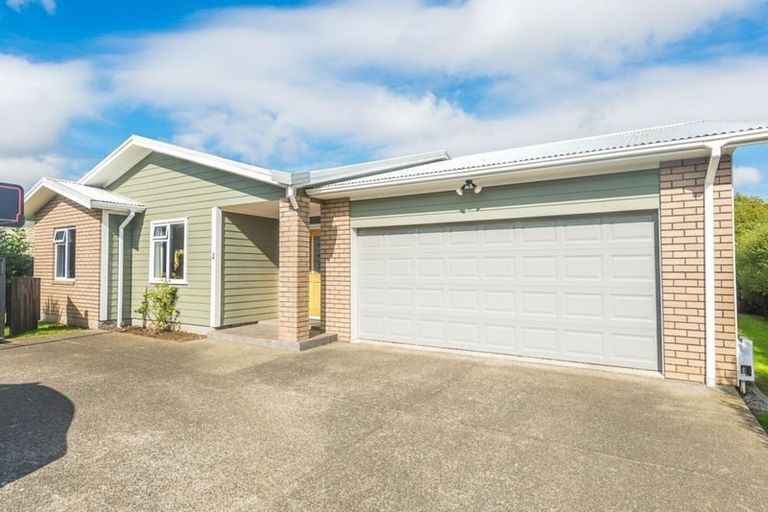 Photo of property in 4 Brougham Place, Springvale, Whanganui, 4501