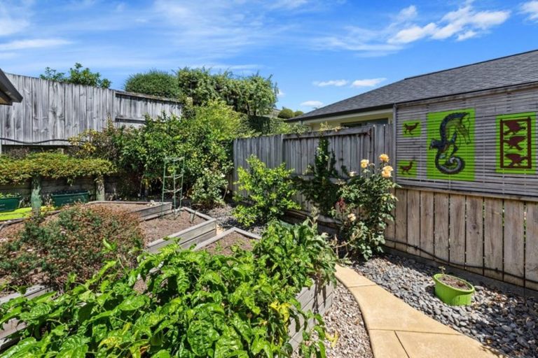 Photo of property in 174 Carmichael Road, Bethlehem, Tauranga, 3110