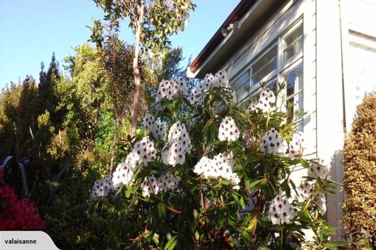 Photo of property in 26 Fea Street, Dalmore, Dunedin, 9010