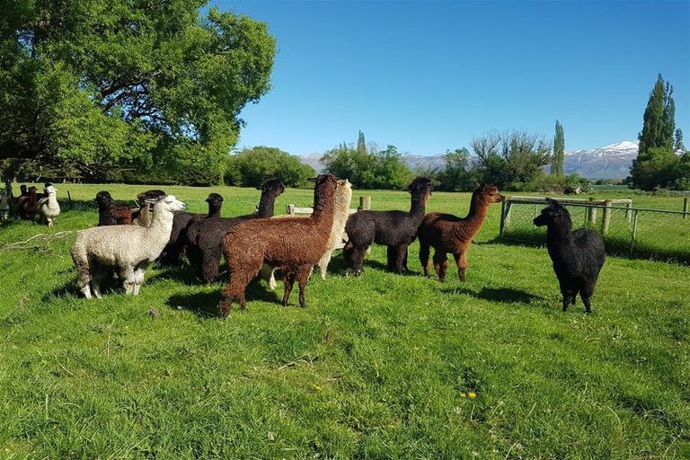 Photo of property in 18 Nixons Road, Fairlie, 7987