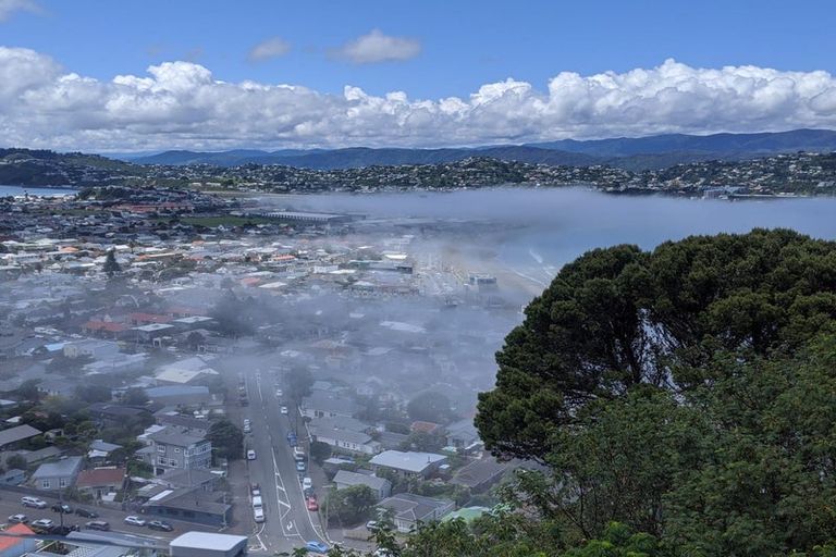 Photo of property in 7 Pari Tai Way, Houghton Bay, Wellington, 6023