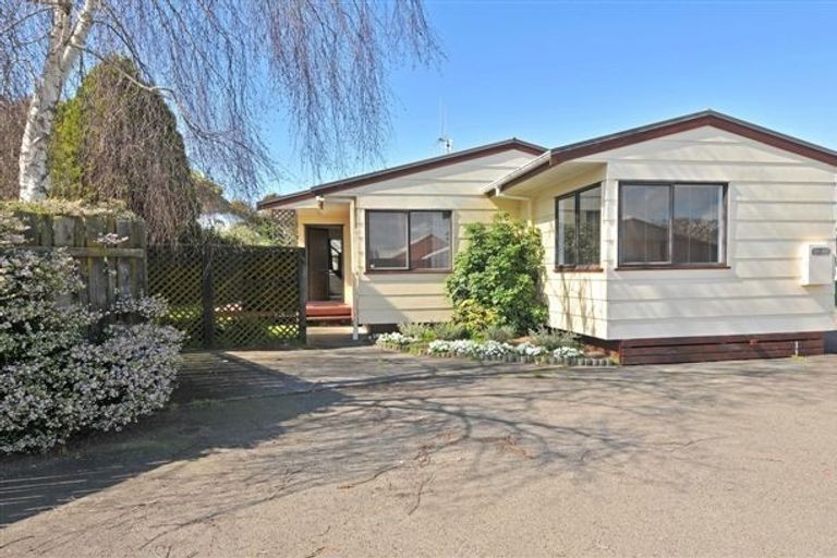 Photo of property in 8a Bedford Place, Mount Maunganui, 3116