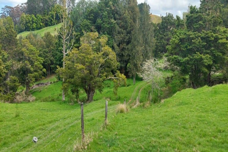 Photo of property in 246 Te Tio Road, Umawera, Okaihau, 0476
