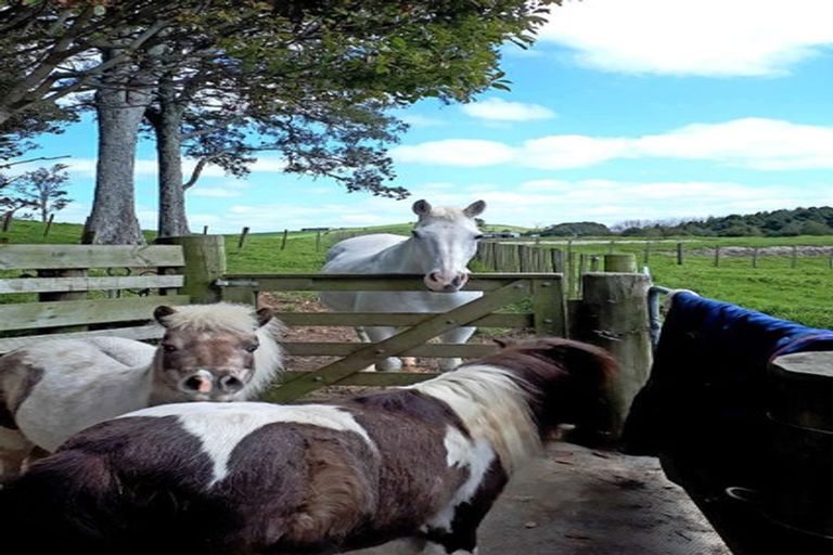 Photo of property in 24 Totara Rise, Maungaturoto, 0588