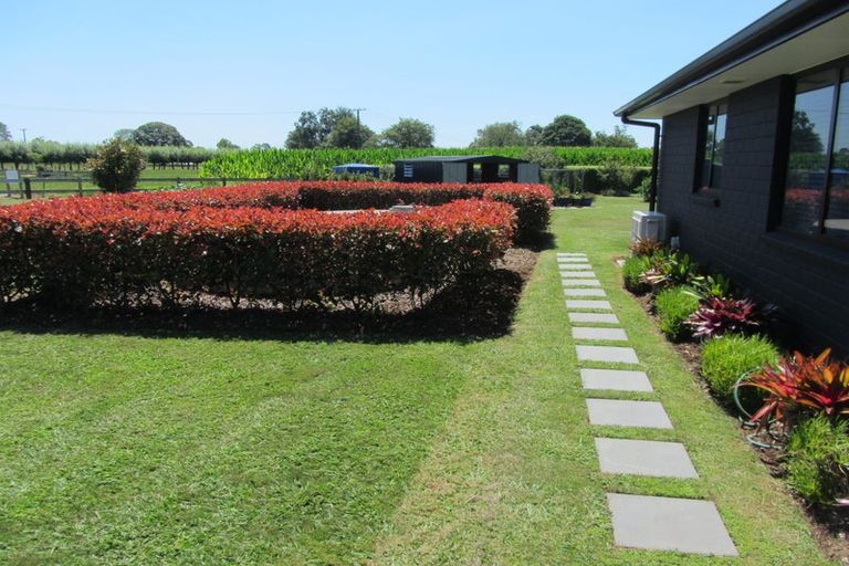 Photo of property in 5 Aranui Road, Matamata, 3472
