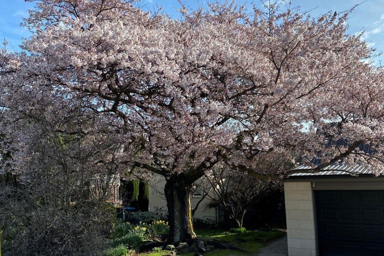 Photo of property in 8 Kennedy Crescent, Wanaka, 9305