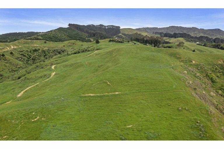 Photo of property in 69c Otonga Valley Road, Raglan, 3295