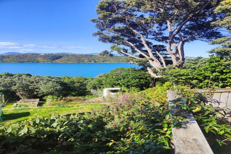 Photo of property in 3 Kio Crescent, Hataitai, Wellington, 6021