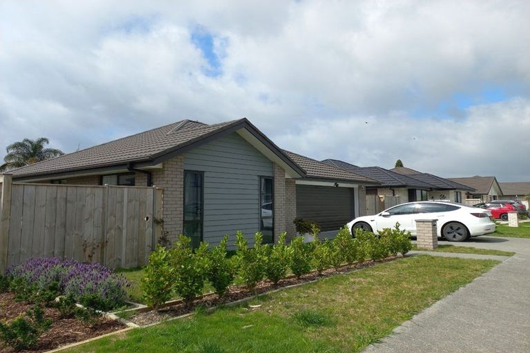 Photo of property in 78 Waituarua Drive, Takanini, Auckland, 2112