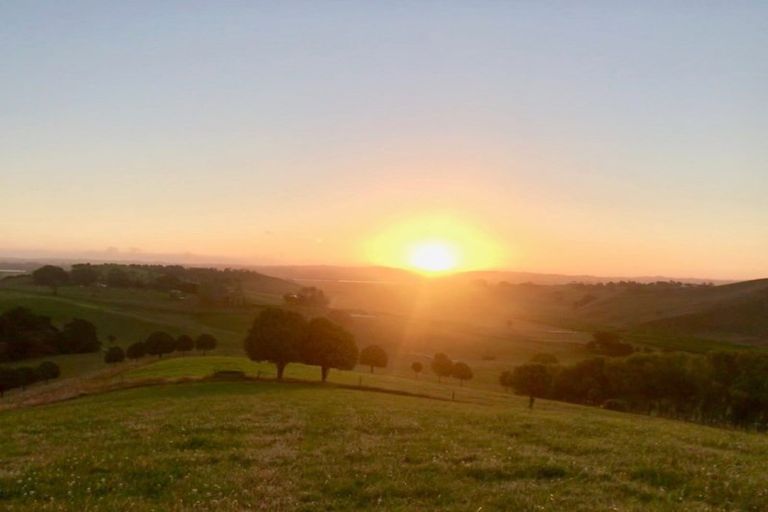 Photo of property in 176 Morrison Road, Arapohue, Dargaville, 0374