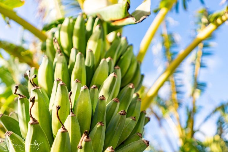 Photo of property in 147 Petley Road, Paparoa, 0571