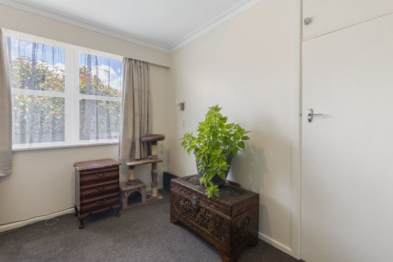 Photo of property in 17 Marlborough Street, Levin, 5510