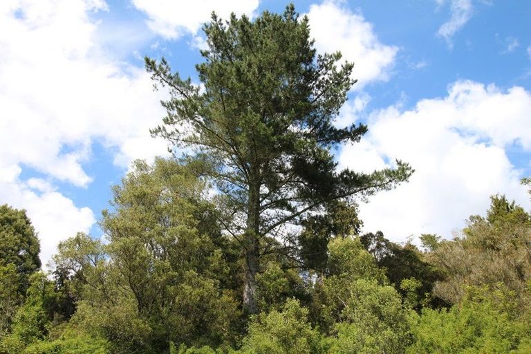 Photo of property in 93 Main Road, Harihari, 7884