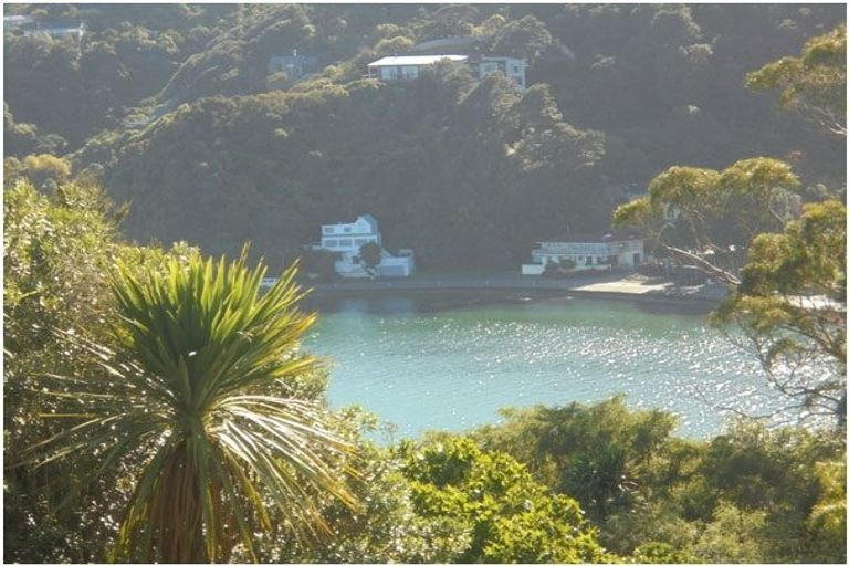 Photo of property in 57 Waitohu Road, York Bay, Lower Hutt, 5013